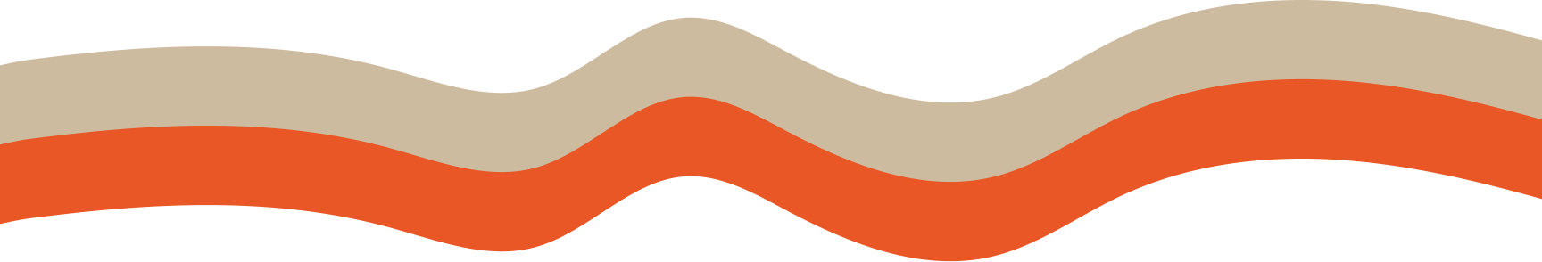 orange-divider orange-divider